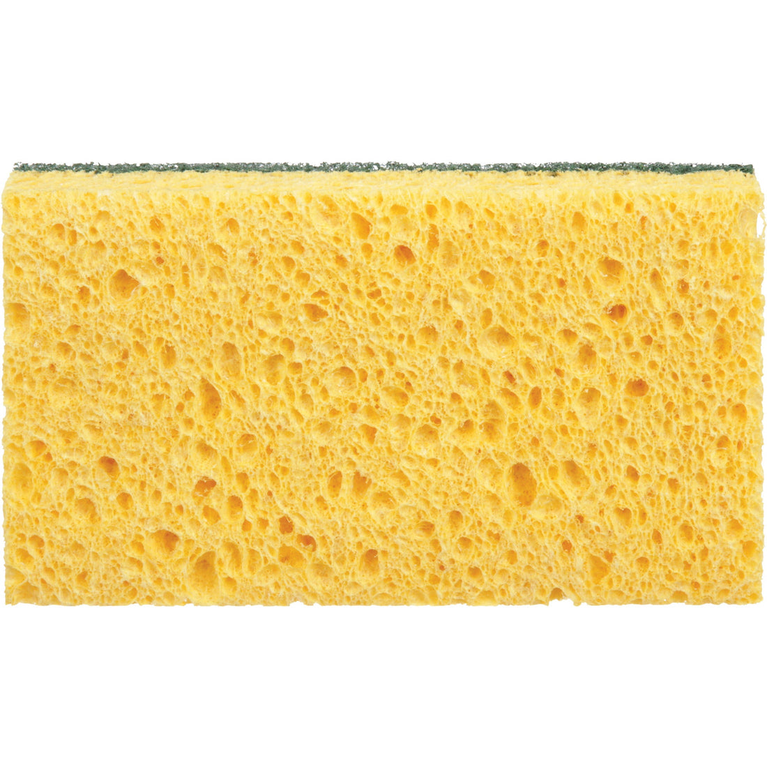 3M Utility Sponges, Cellulose, 6" W x 3-1/2" L