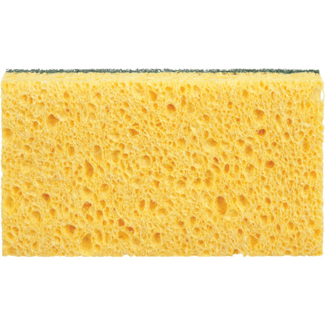 3M Utility Sponges, Cellulose, 6" W x 3-1/2" L