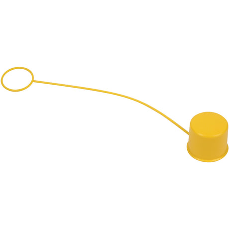 Bradley Tethered Eyewash Dust Cap